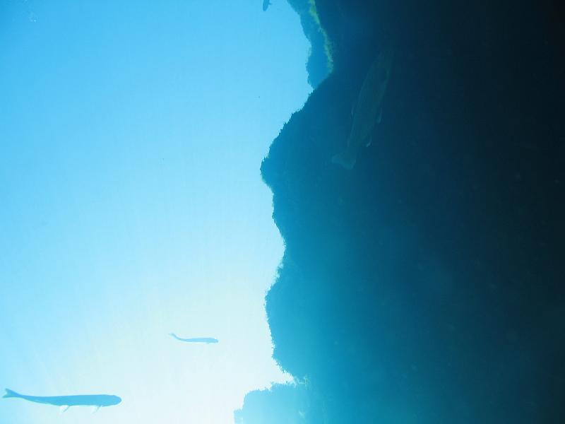 Bennett Springs 047.JPG - Looking up from the mouth of the Cavern.